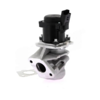 STORM - Vanne EGR 1.6 HDI