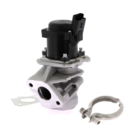 Kit Vanne EGR 1.6 HDI + collier